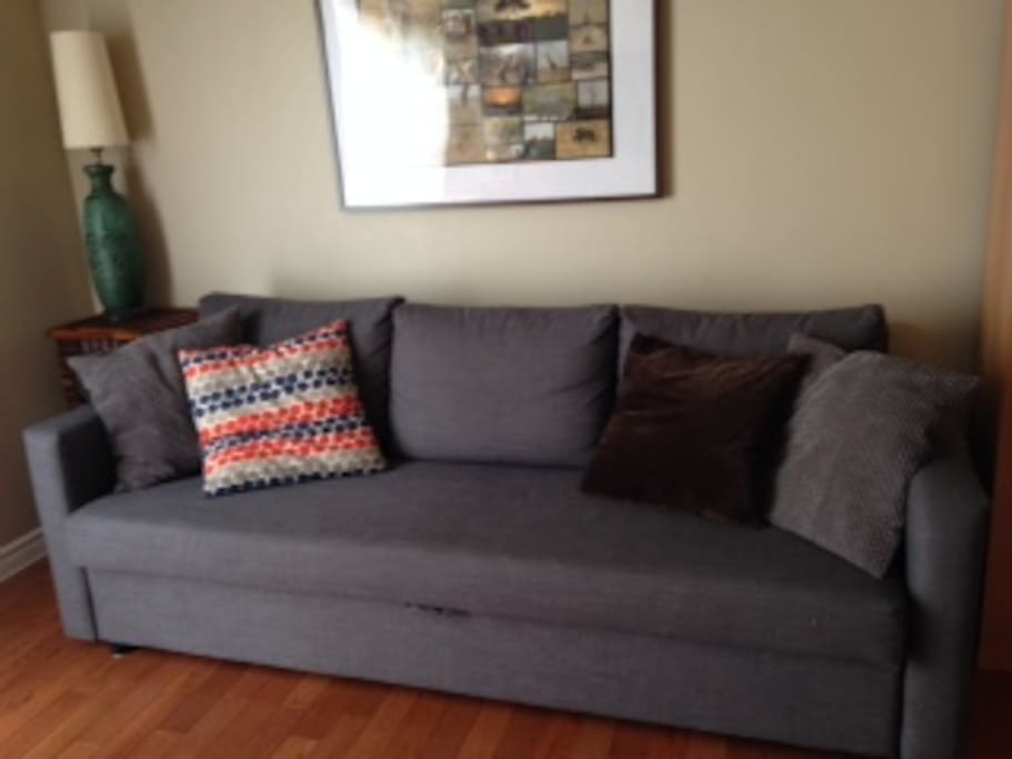 pull out couch in main floor living room