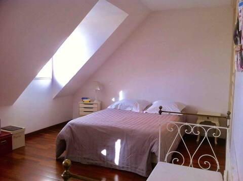 Verrières-en-Anjou St Sylvain countryside 5 bedrooms