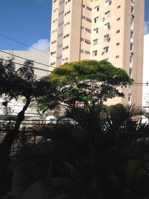 Faixada do Predio
