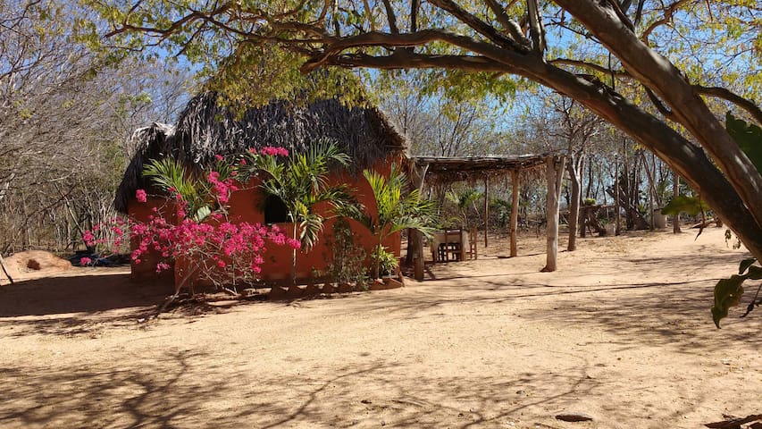 Esthela's Dolphin Cabaña