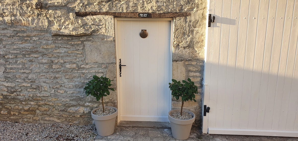 An entrance door is framed by a rustic stone wall, featuring a small wooden handle and a circular door knocker. Two potted plants sit symmetrically on either side of the door, each with lush green foliage and gravel filling the base.