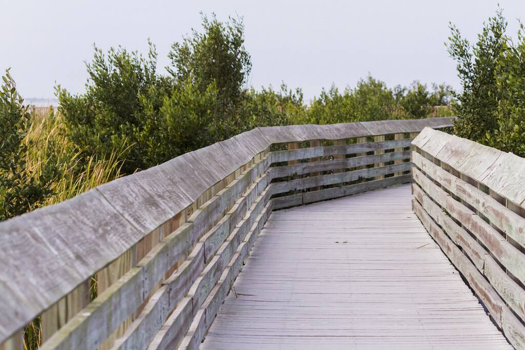 Beach access is just across the street!