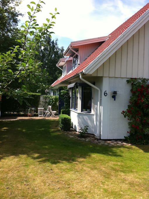Trädgård, framsida