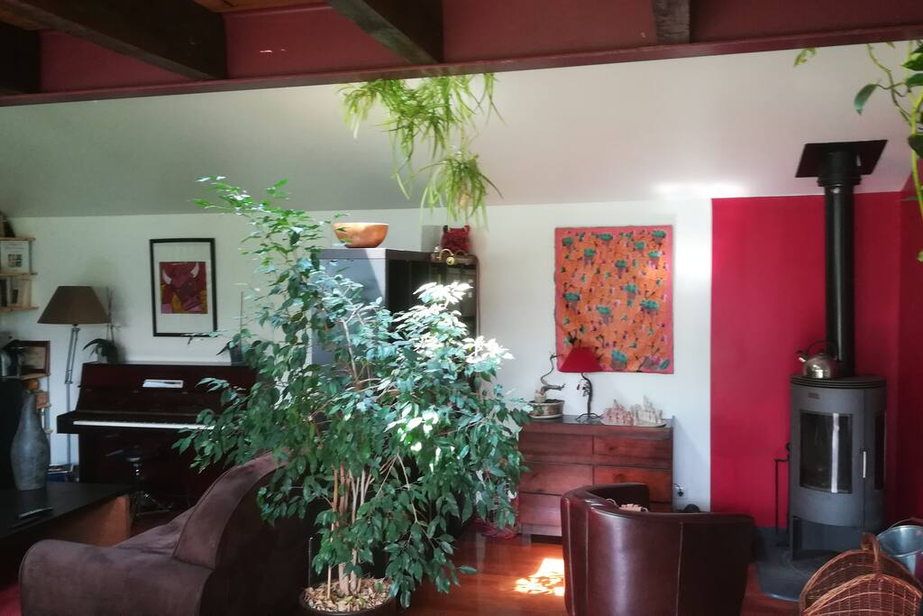 Salon