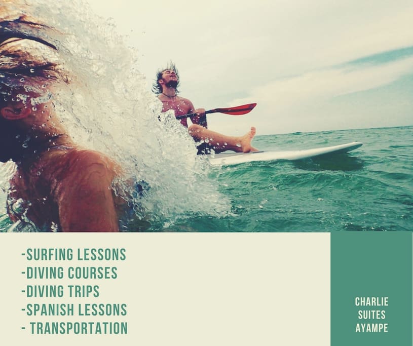 Services
Surf Classes-