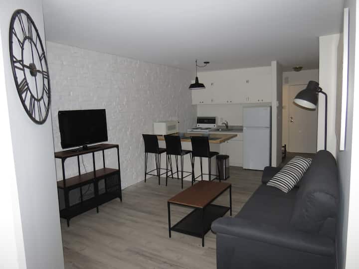 Little Italy, RosemontLa PetitePatrie Holiday Rentals & Homes