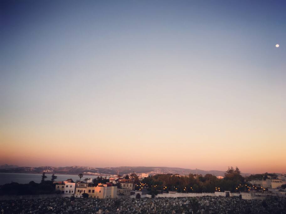 Vue de la terrasse sur la baie