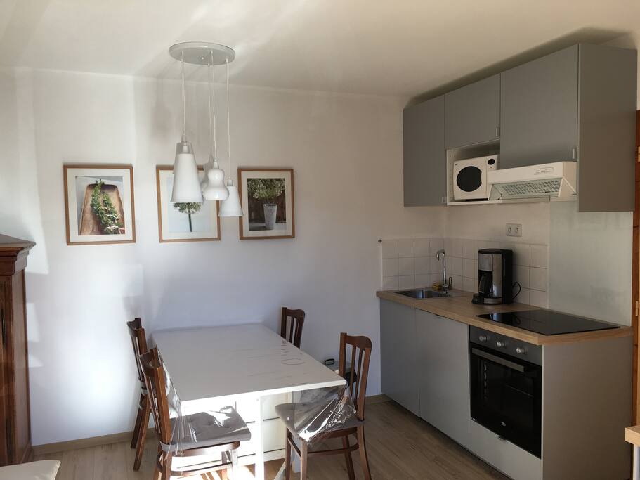 Cuisine séjour avec équipement complet (lave-vaisselle, four grand format, plaque à induction,...)