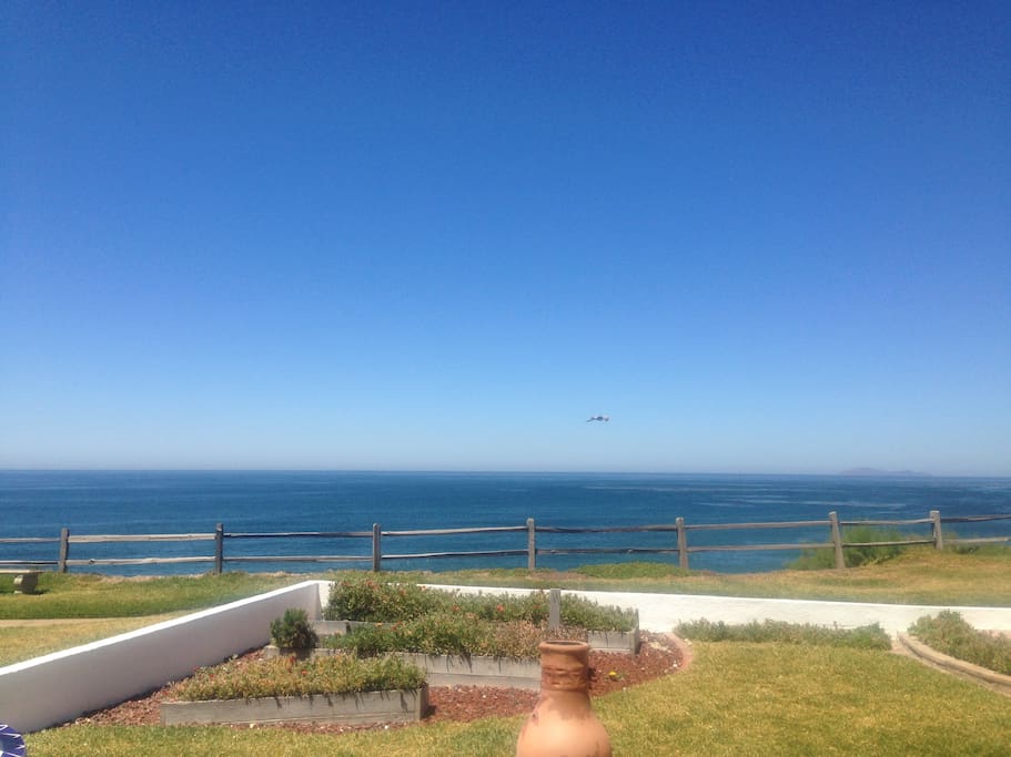 View from outdoor table.