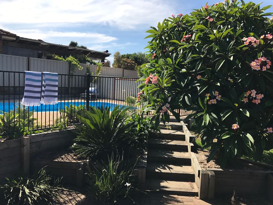 Backyard + Pool + BBQ = Summer