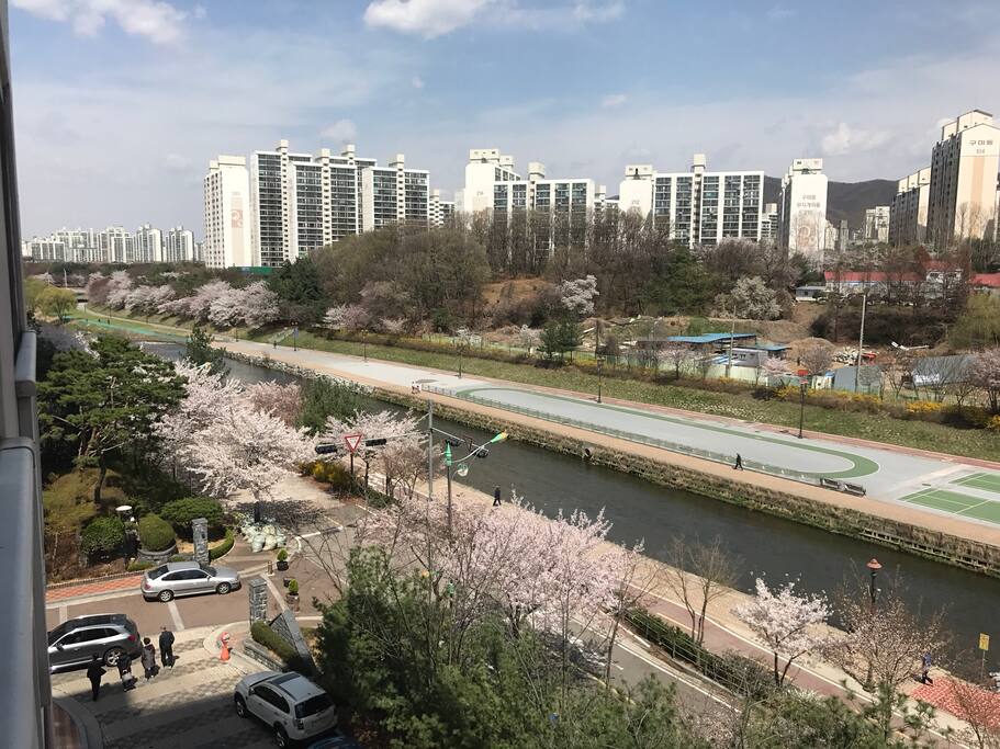 View from your room (7th, April)