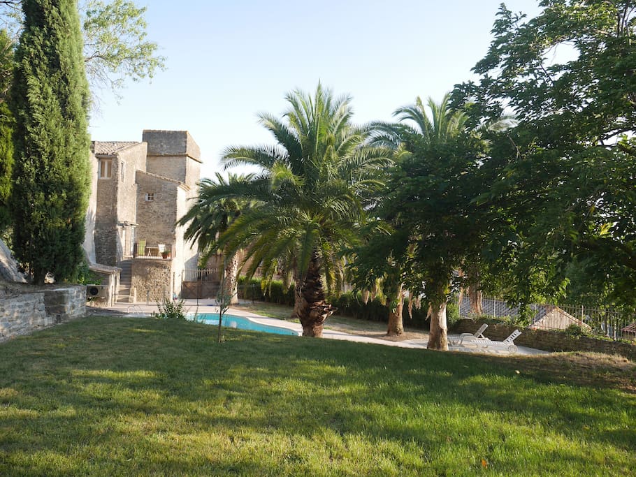 View of back of house and pool from garden