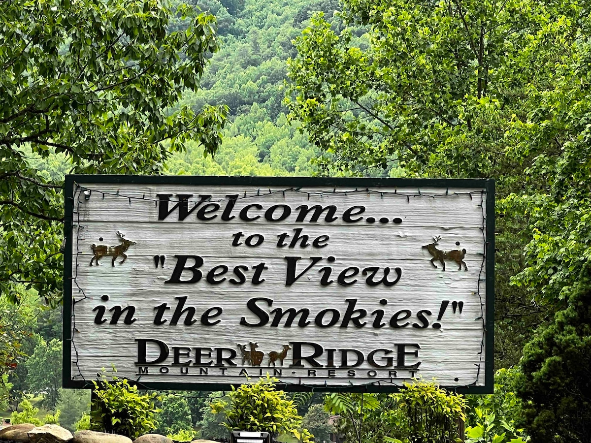 A welcoming sign displays the phrase 'Welcome to the Best View in the Smokies!' with a rustic wooden backdrop. Lush greenery surrounds the area, highlighting the natural beauty of the landscape in the background.