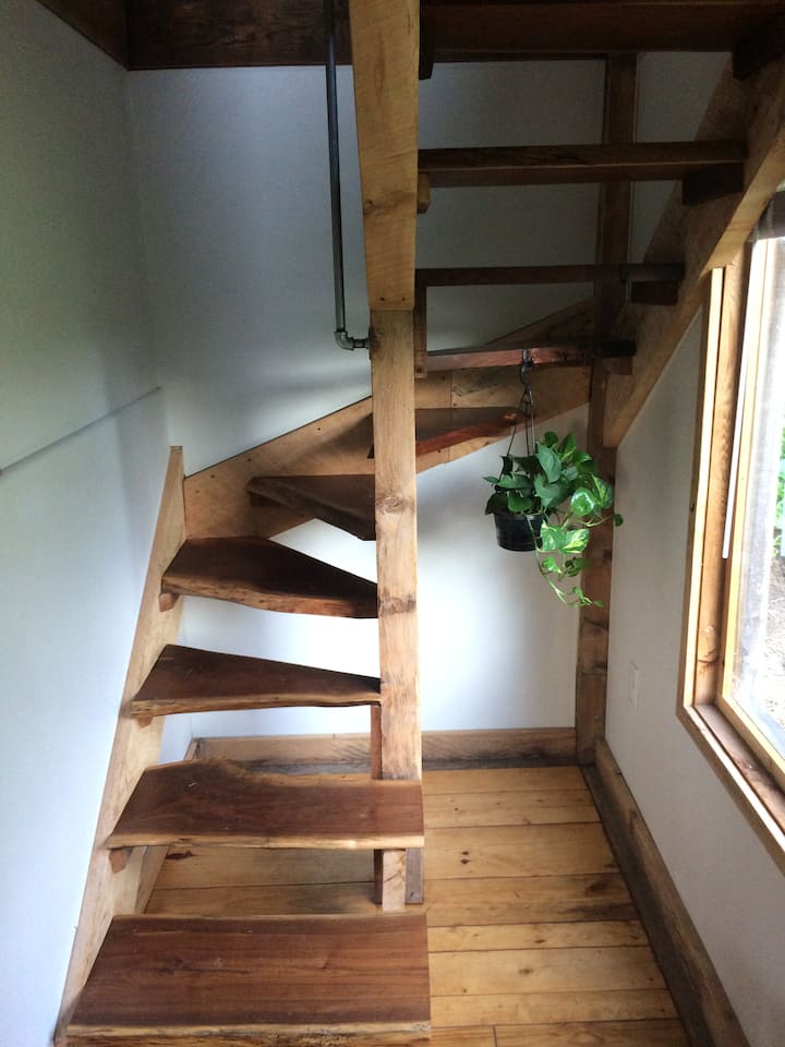 6 Best Airbnb Tiny Houses In Lexington, Kentucky Updated 2024 Trip101