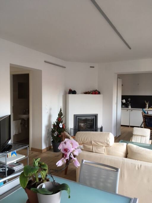 Salon / Living room