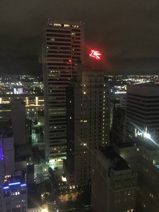Night time view from unit.