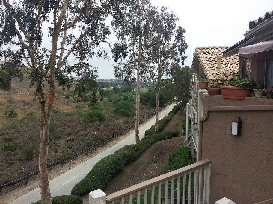 Step out your back door onto the Salt Creek trail. Stroll past the wildlife preserve & 5 Star Golf Course all the way to the beach.