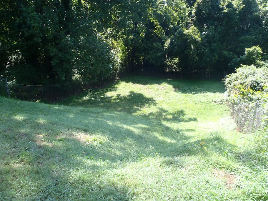 Huge Backyard for the pets and all fenced in