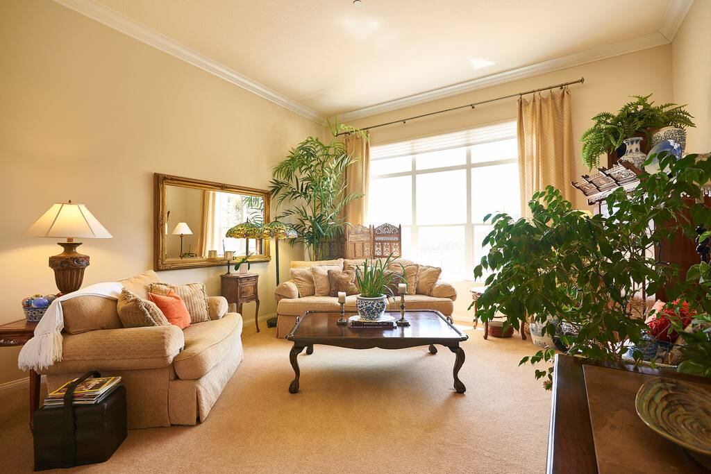 your very comfortable living room