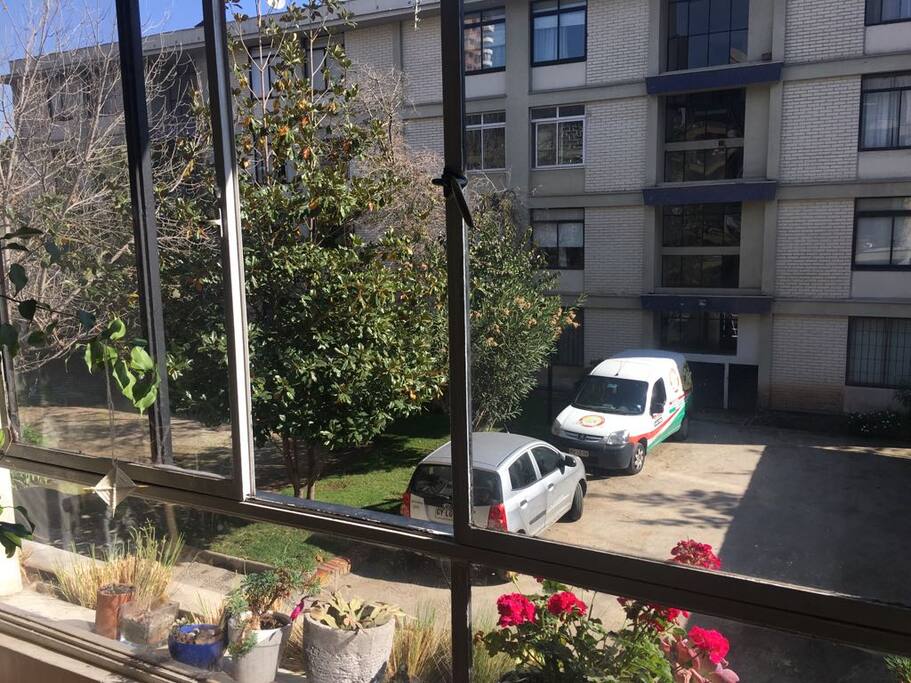 View from living room