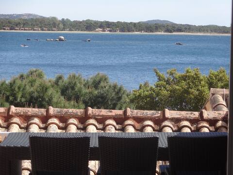 mini villa 40m de la mer , golfe de porto-vecchio