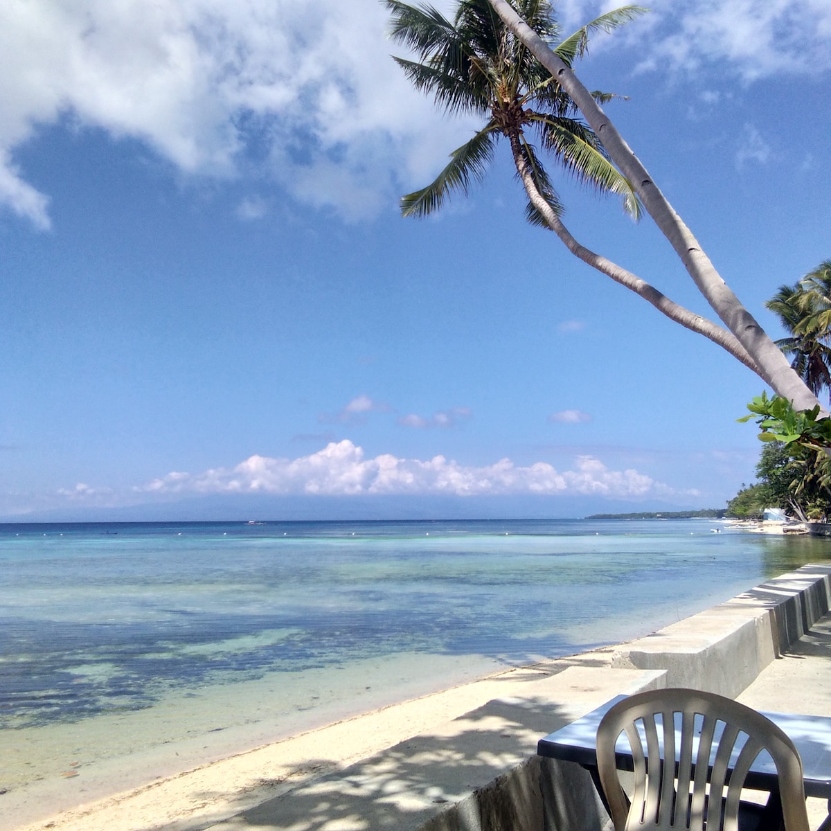 A serene beach view is presented, featuring soft sand and gentle waves lapping at the shore. Palm trees filter sunlight, while the inviting blue water extends to the horizon. A simple chair sits on the pathway, providing a place to enjoy the coastal scenery.