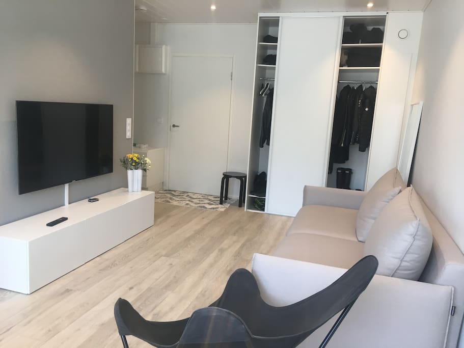 Living room with smart TV and sofa with an option for a bed