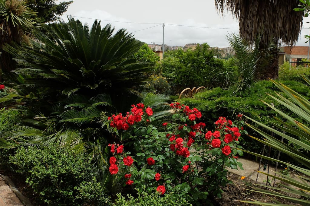 giardino