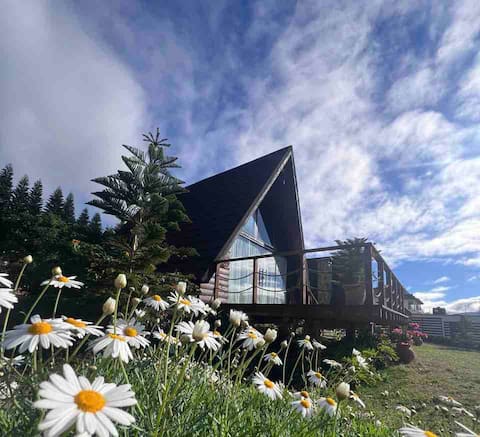 Cacha’s Wood Cabins (tiny loft cabin)