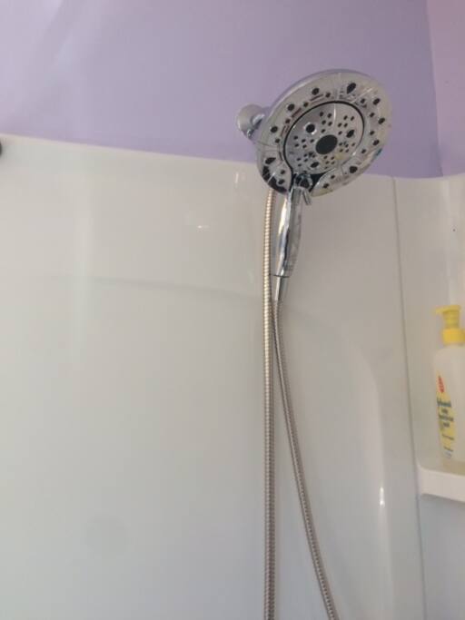 removable showerhead