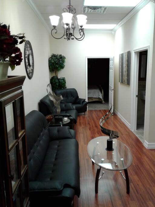 Entrance and Living Area