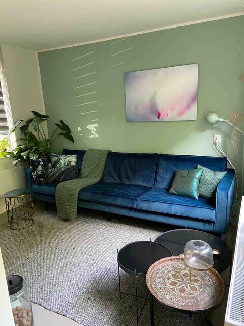Special Patiowoning,10 min. cycling from downtown