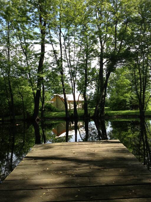View across the pond from the dock.