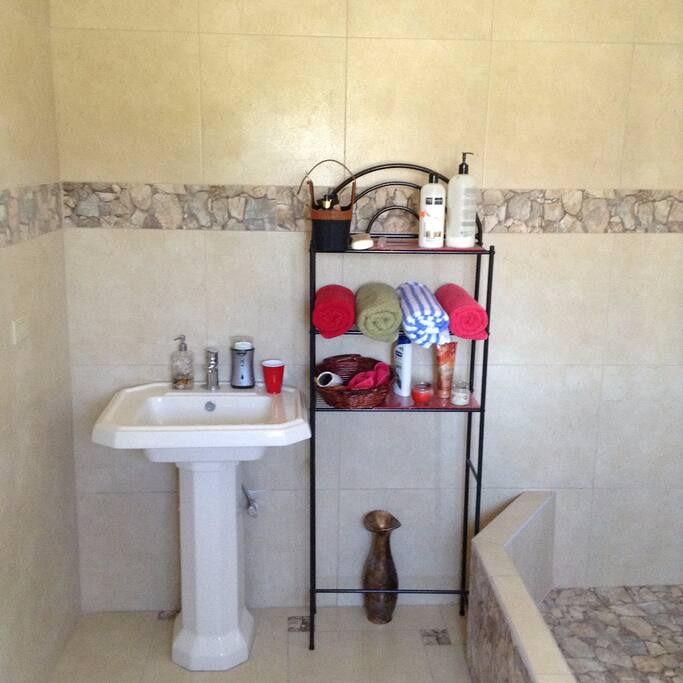 towels, shampoo, rags