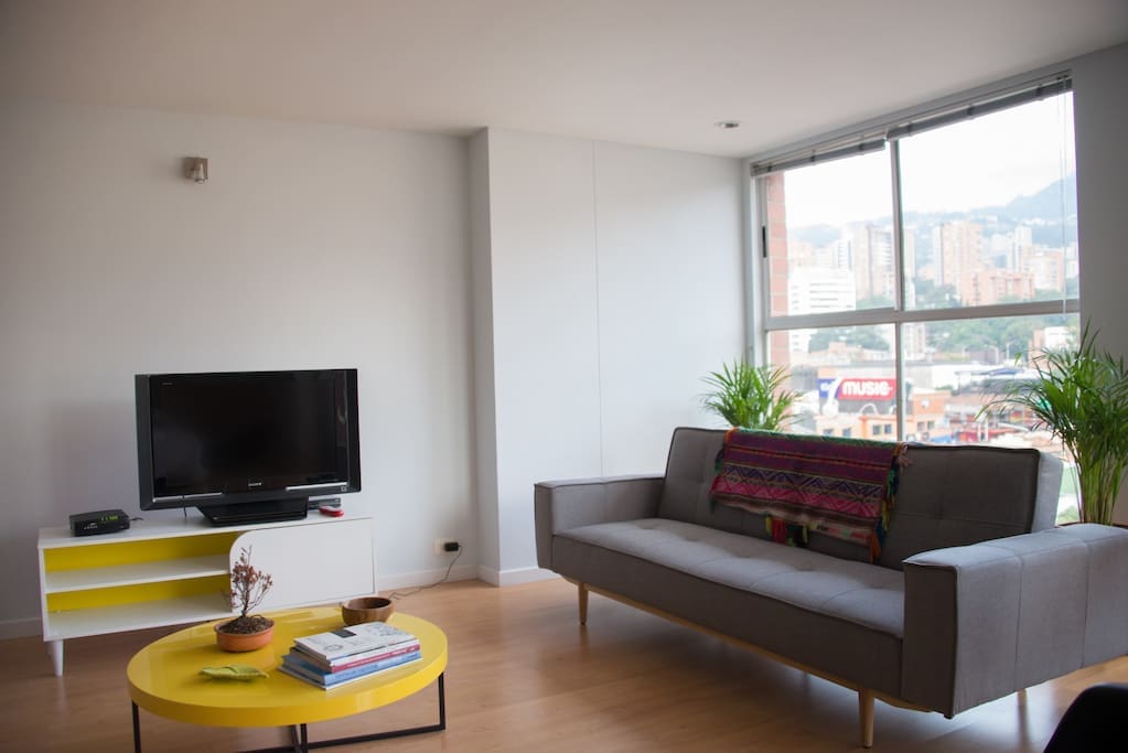 Living room with sofa bed.