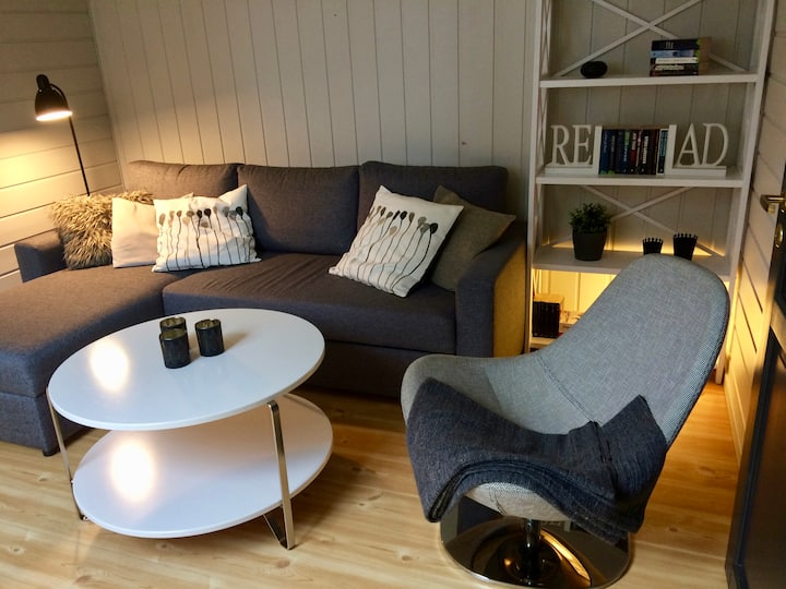 客厅配有电视、书籍、棋盘游戏和沙发床2 x 80厘米