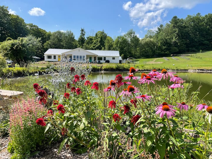 modern, new 3bedroom home on pond. Farm stays for Rent in Guilford, Vermont, United