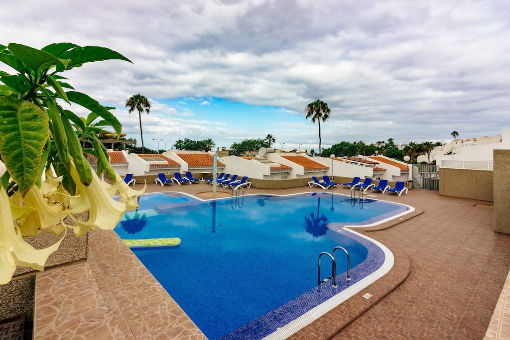 Great spacious pool