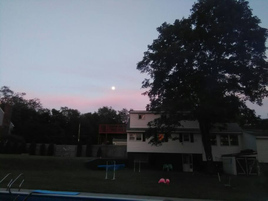 backyard view