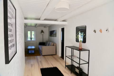 Popular Airbnb listing: Fantastic cozy holiday home in the middle of nature in Vesthimmerlands