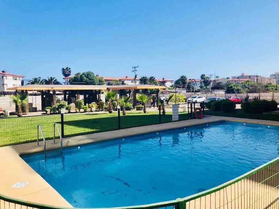 Piscina con sector de pasto natural