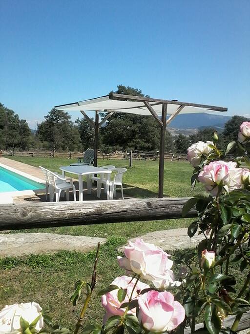 Piscina 12x6