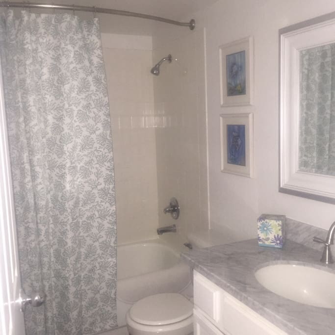 Guest bath with tub/shower combination