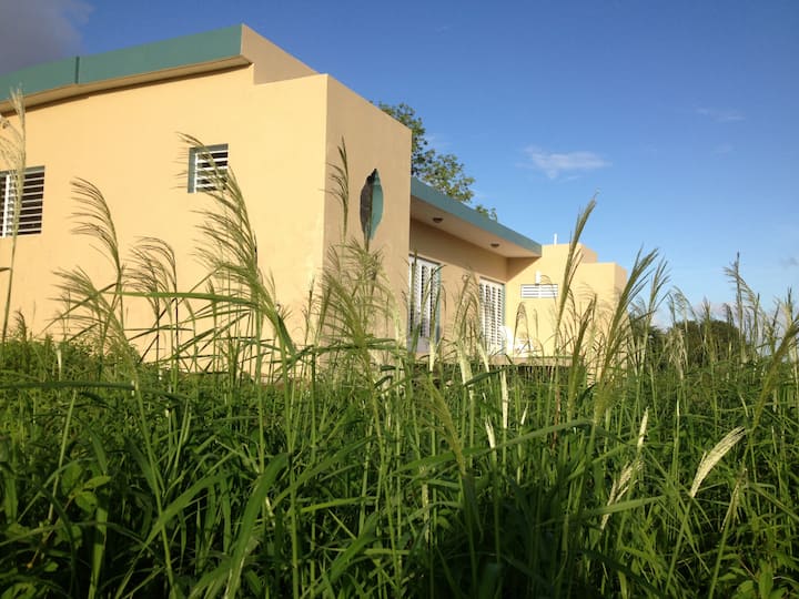 Casa Vieques Houses for Rent in Vieques, Vieques, Puerto Rico Airbnb