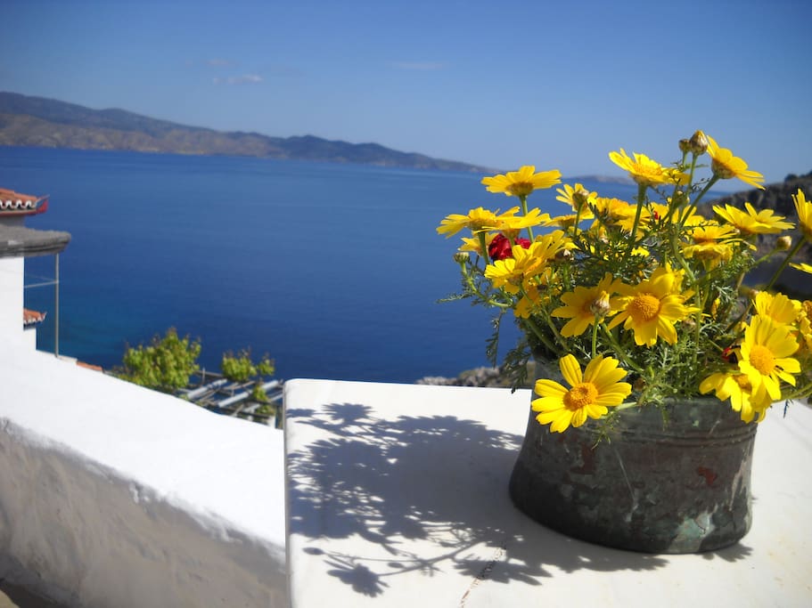 View from the terrace...