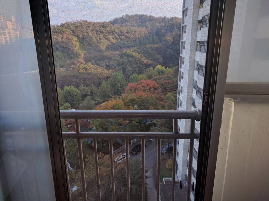 문을열면 단풍이 물든 산이 있어요