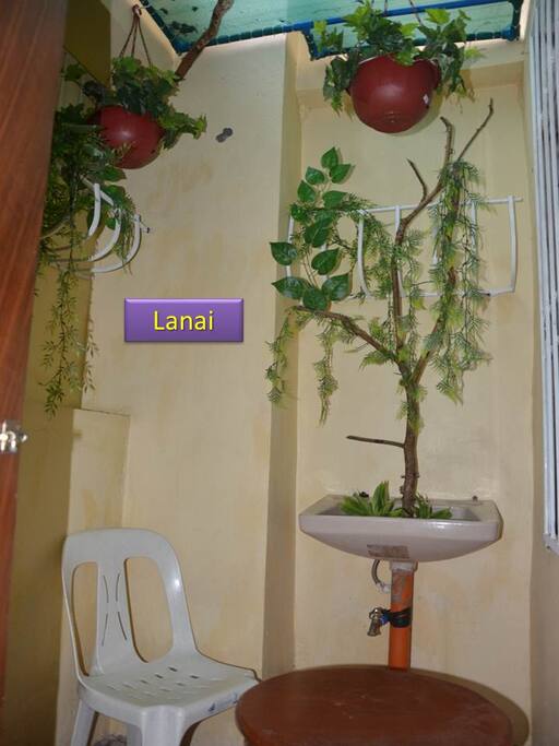 This Lanai area is for the exclusive use of Room #3 occupants.