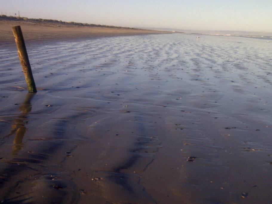 Beach walk at low tide
