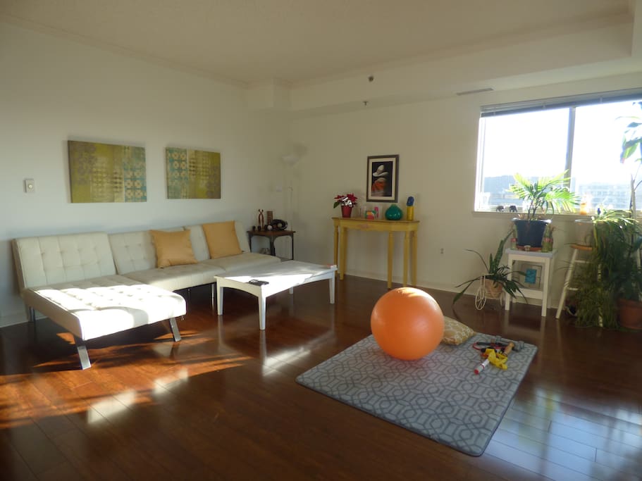 Living Room with great natural light.
