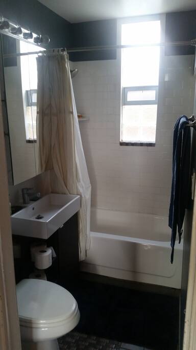 Bathroom. Has tub, shower and bidet.